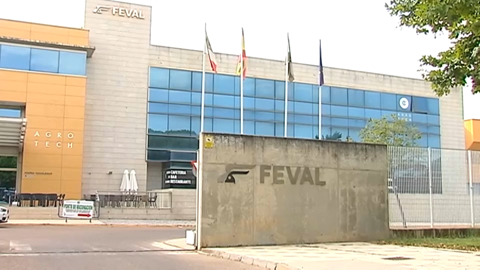 feval