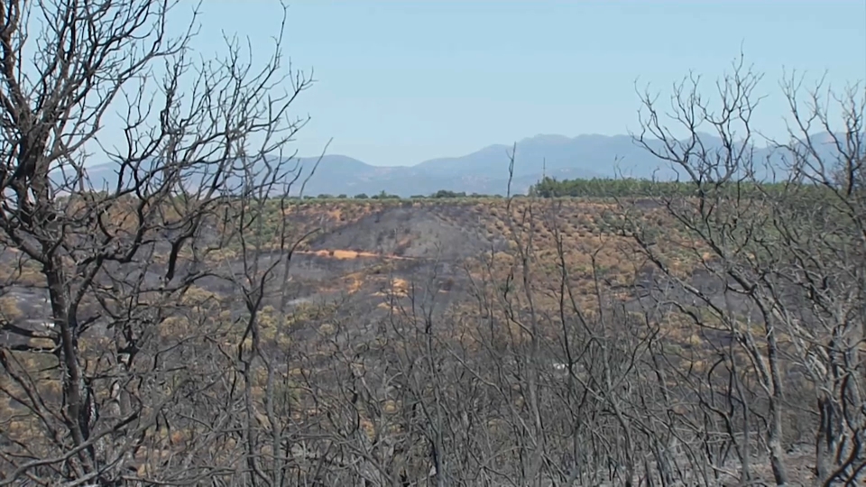 Incendio en Castilblanco