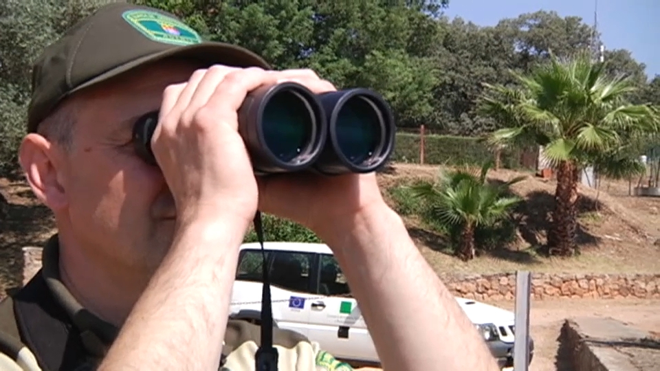 agente del medio natural