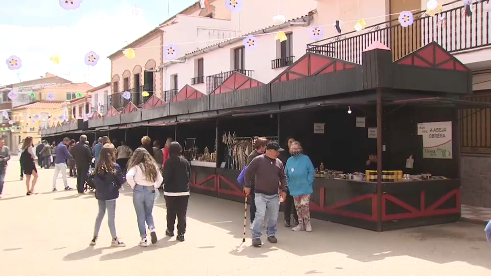 Garbayuela feria de la Siberia jara en flor