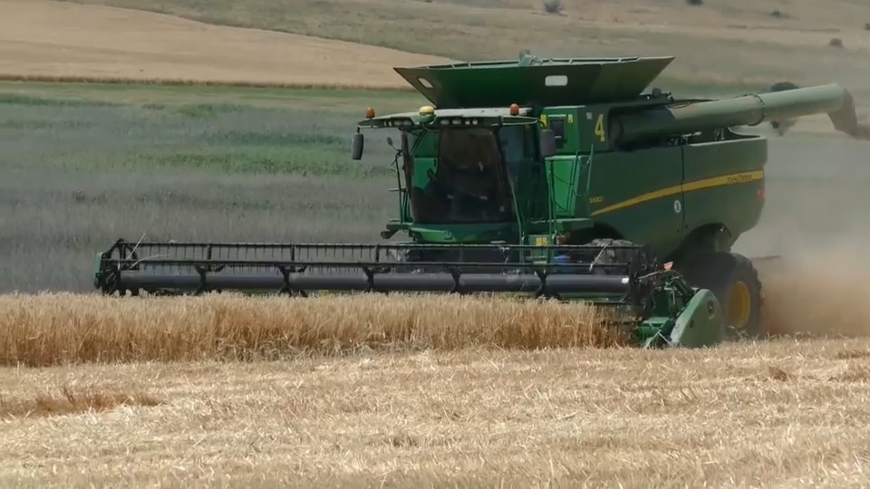 Máquina cosechadora en el campo