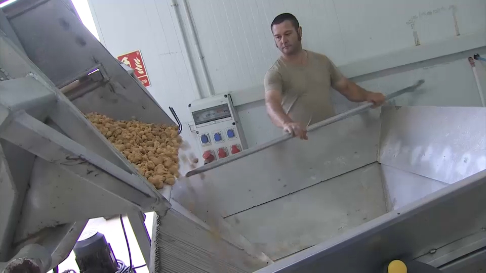 Higos de Almoharín