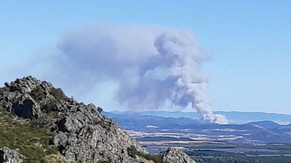 Participaron en la extinción medios de Castilla-La Mancha y el Ministerio