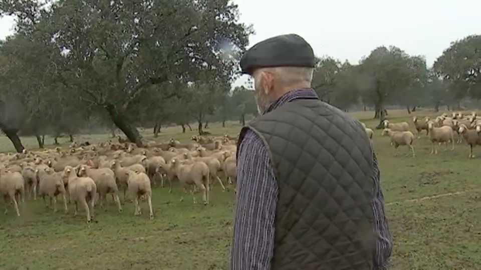 Optimismo en el campo ante las últimas lluvias