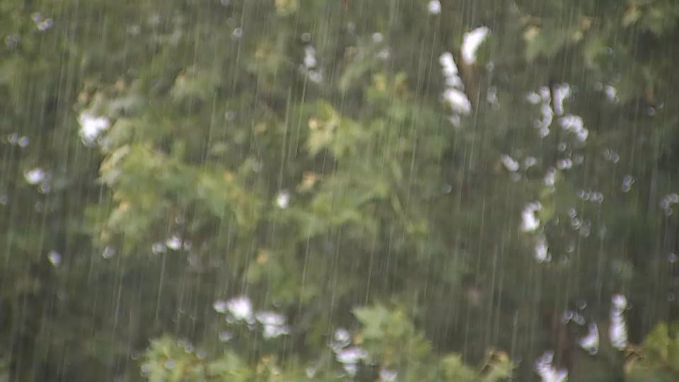 La lluvia también participa en los comicios