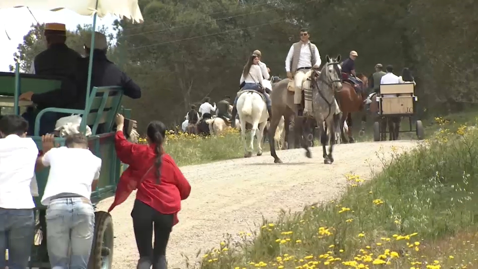 Romería de Los Santos de Maimona