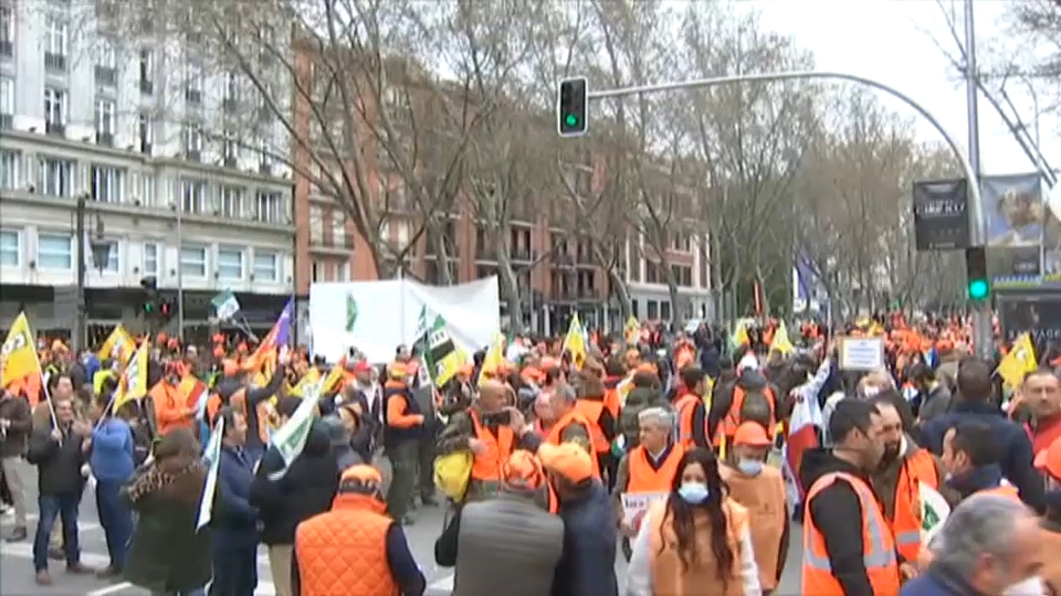 Manifestación 20M