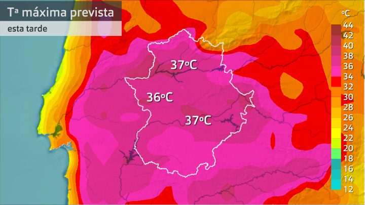 Máximas previstas para martes