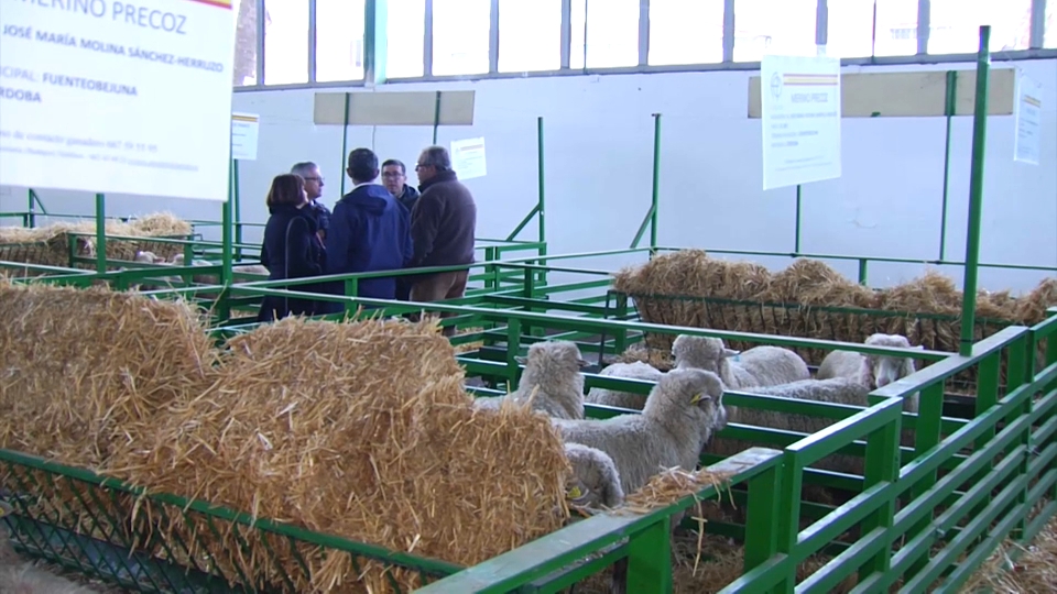Feria de la Primavera de Zafra