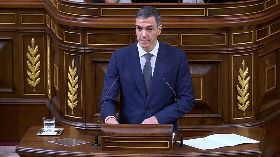 Pedro Sánchez, en el Congreso de los Diputados