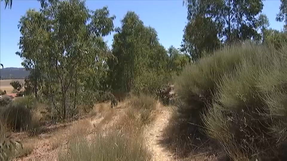 Cerro Arropez en Cáceres