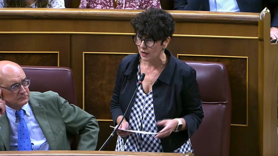 Maribel Vaquero. Diputada PNV