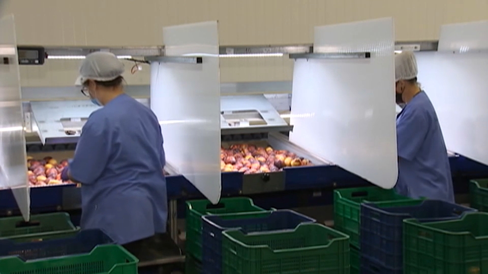 Exportaciones de Extremadura