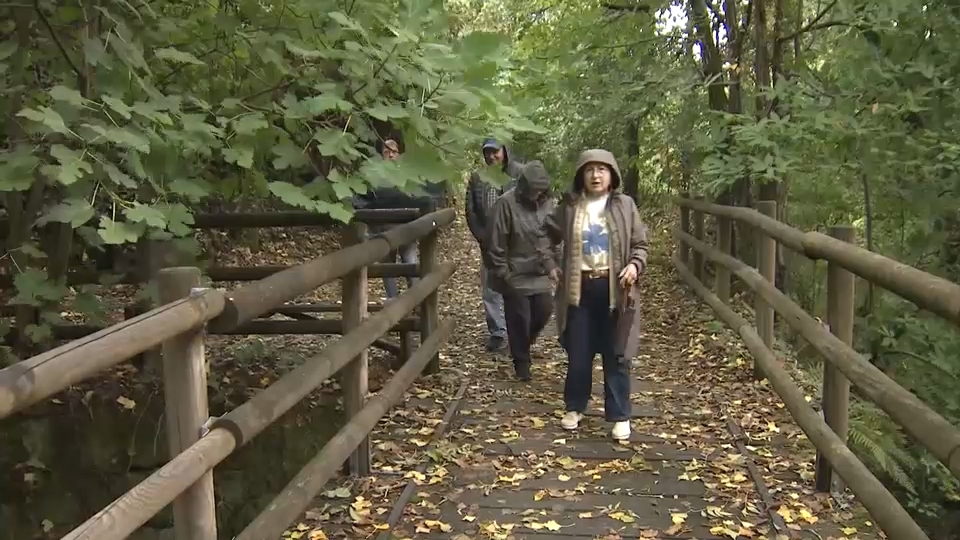 Valle del Jerte qué ver