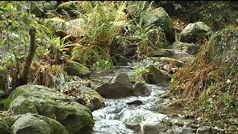 Valle del Jerte qué ver