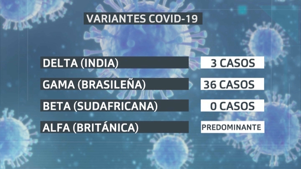 Variantes SARS CoV 2