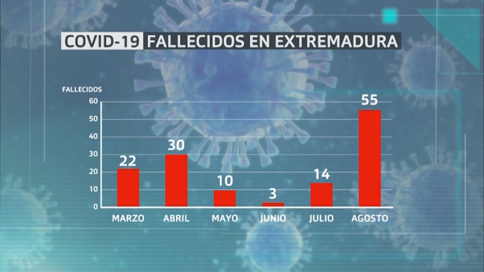 Muertes por meses