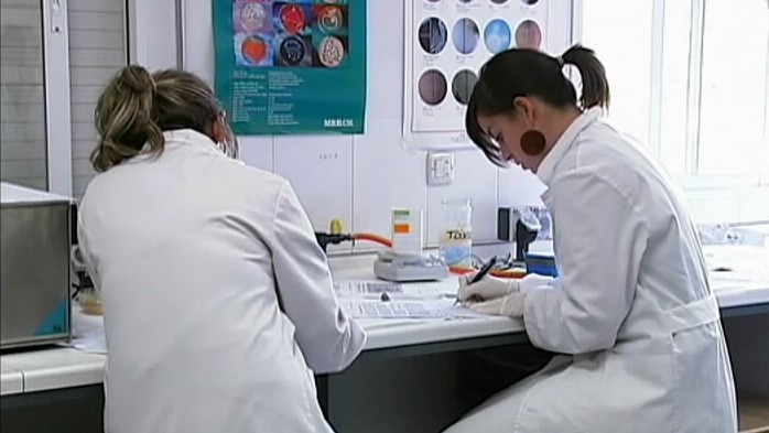 Veterinarios