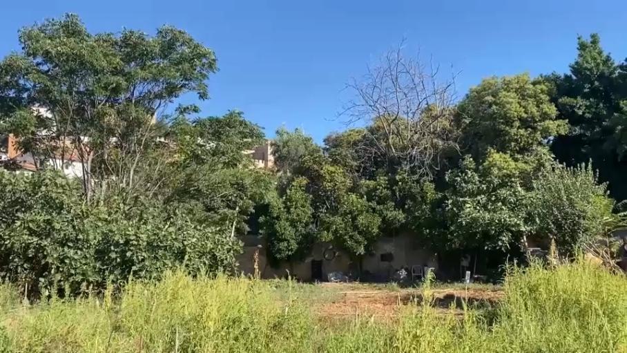 Cáceres busca 3,37 millones de euros de fondos europeos para renaturalizar la Ribera del Marco