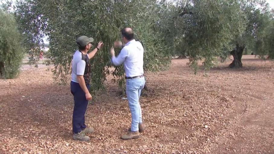 La Junta pide al Ministerio de Agricultura que amplíe el plazo de la Solicitud Única de la PAC hasta el 31 de mayo