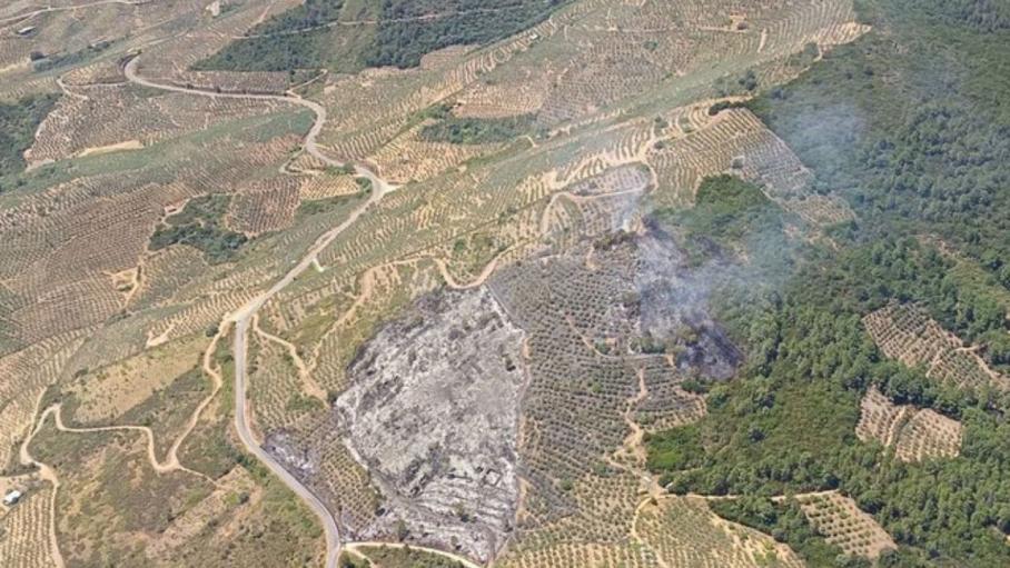 Estabilizado el incendio forestal en Mohedas de Granadilla