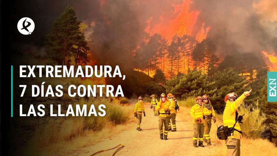 Bomberos del INFOEX luchan contra el incendio forestal de Jarilla (Cáceres)
