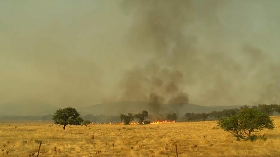 Incendio en Oliva de Mérida