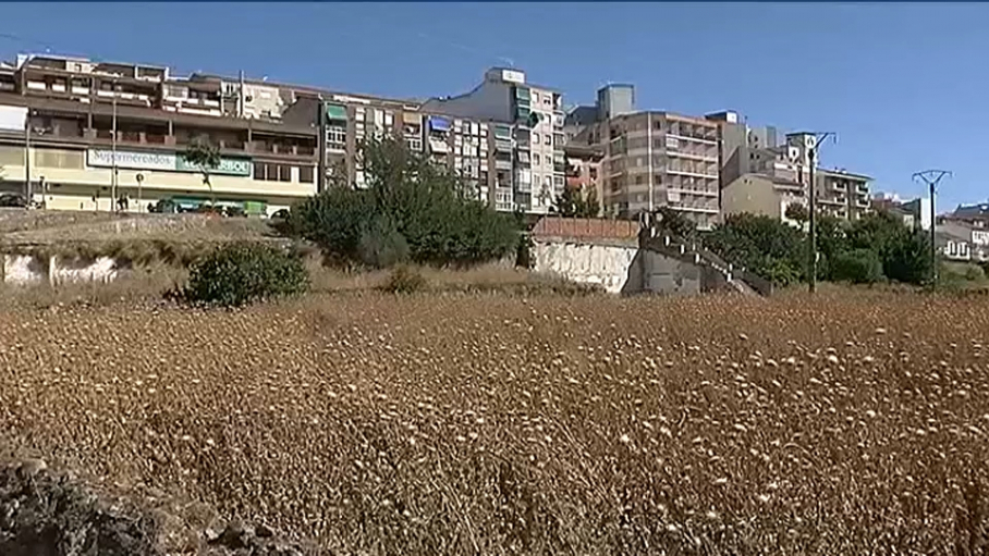 Vista de las Huertas de La Isla en Plasencia
