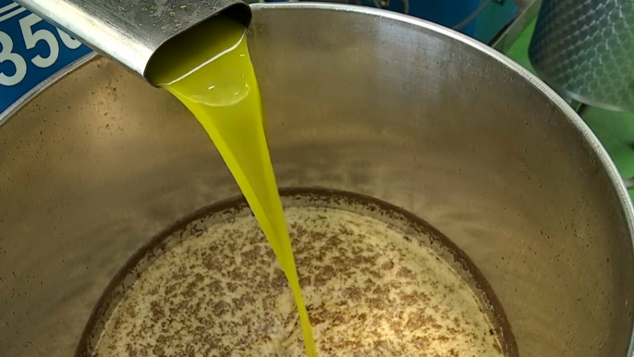 Aceite de oliva en almazara