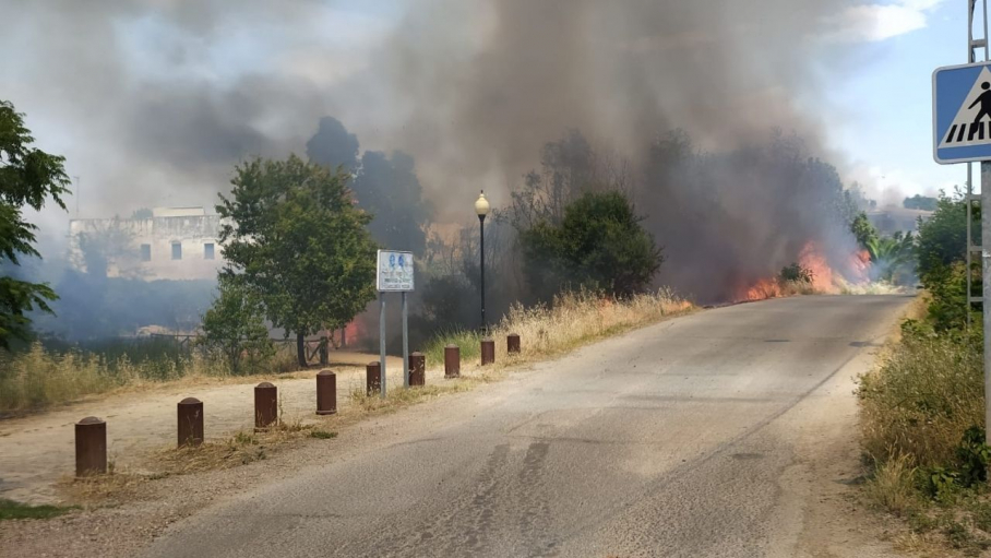 Imagen del incendio del sábado