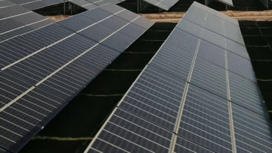 Paneles solares en Extremadura.