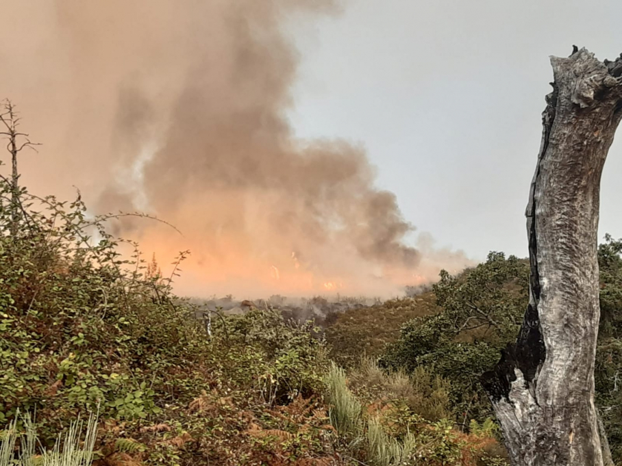 Incendio Villanueva de la Vera