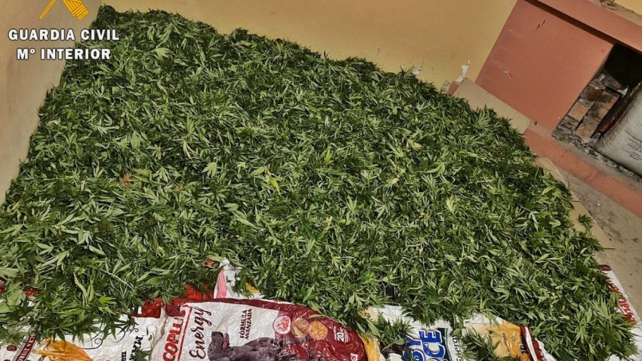 Marihuana interceptada en una furgoneta