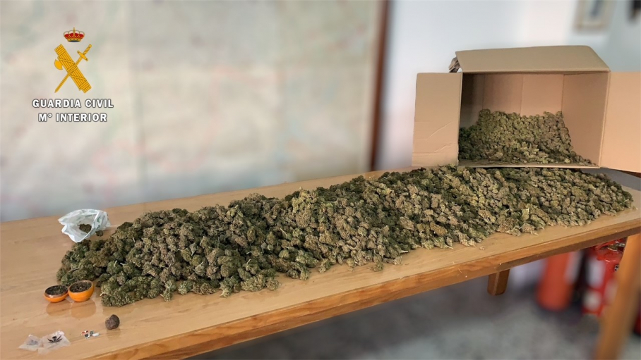 Cogollos de marihuana