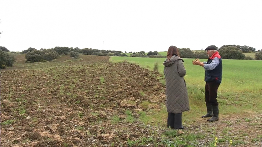 Agricultor junto a tierras en barbecho