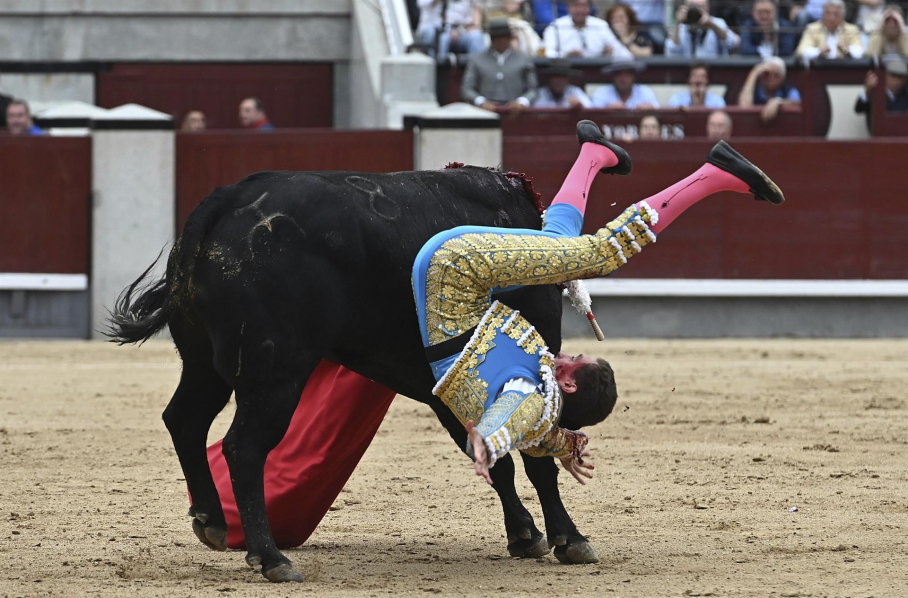 El diestro Ginés Marín sufre un revolcón con su primero de la tarde durante la corrida de la Feria de San Isidro del domingo 15 de mayo en la plaza de Las Ventas, en Madrid.