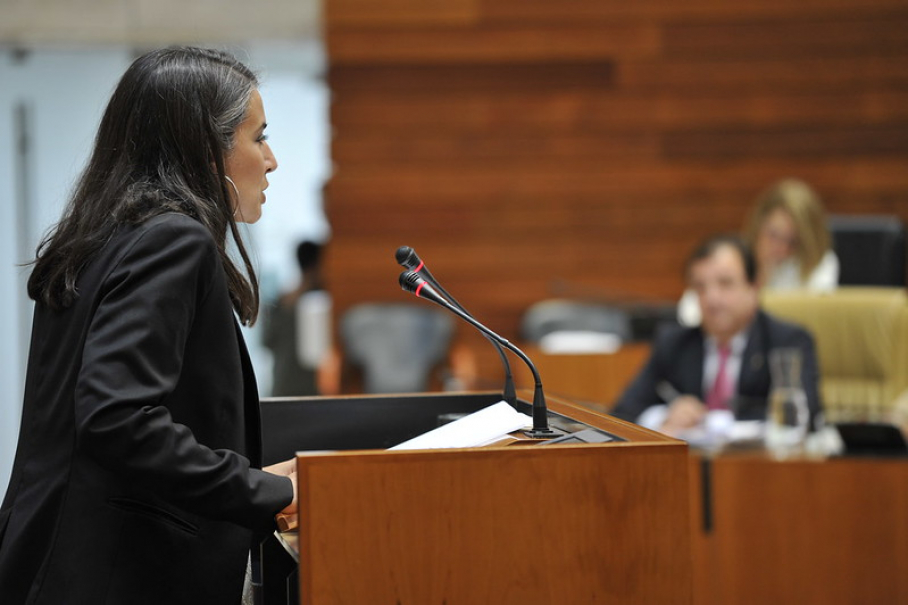 Irene de Miguel, durante su intervención parlamentaria