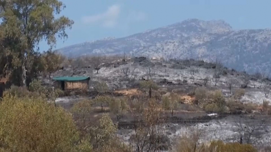 Incendio Villanueva de la Vera julio 2022