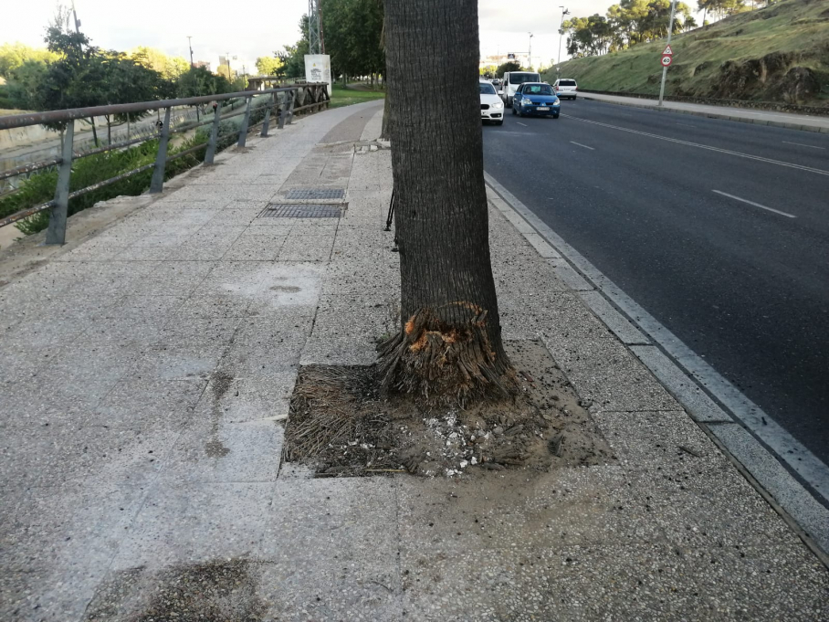 Accidente mortal en Badajoz