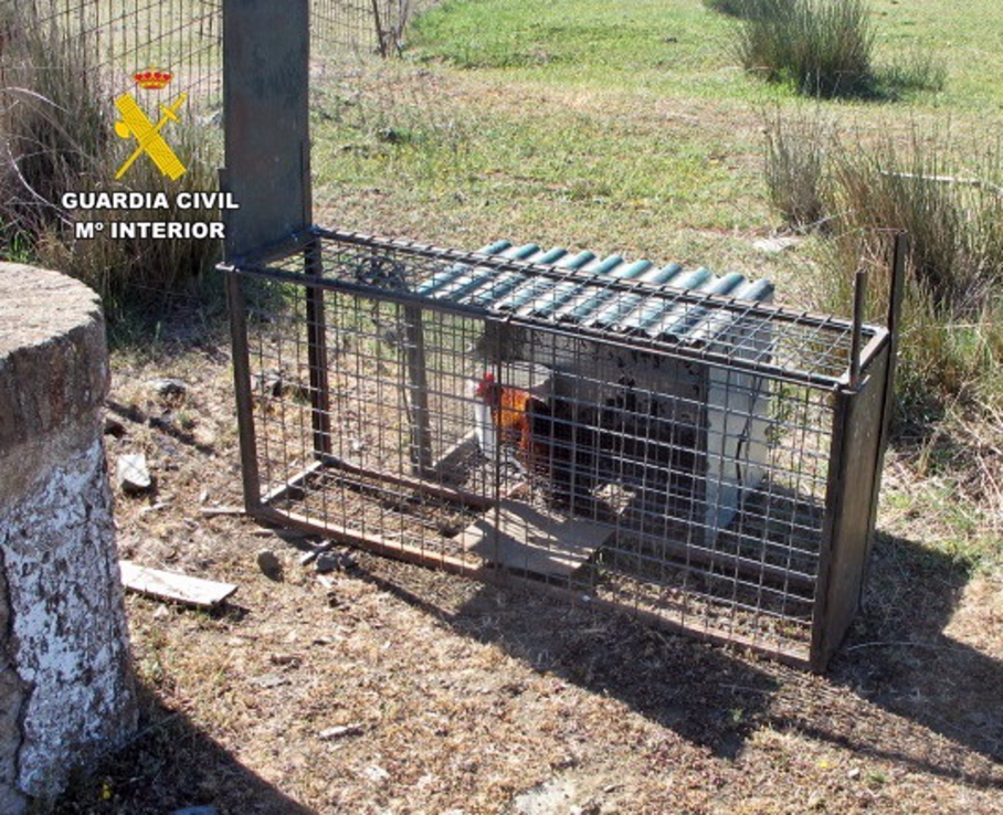 Jaula trampa para animales silvestres