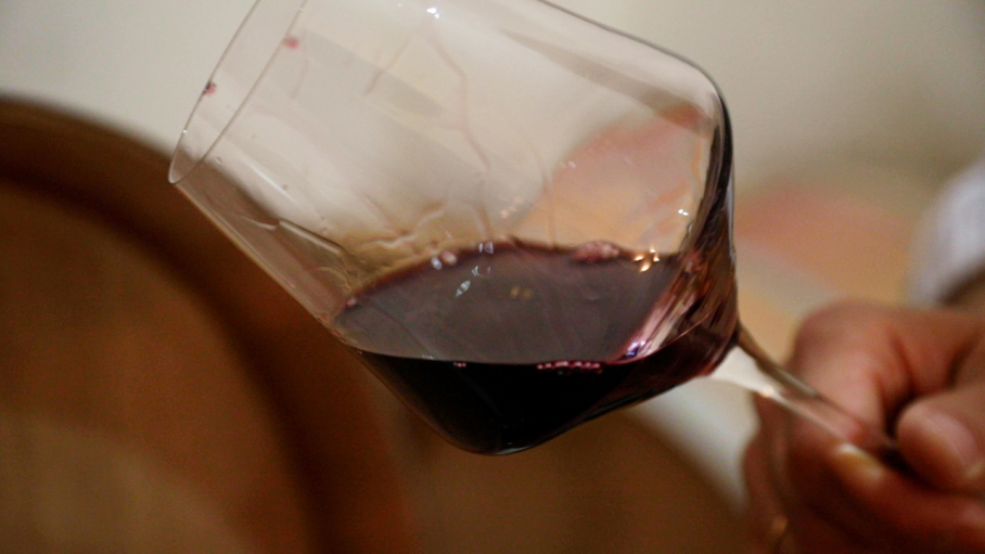 Persona catando vino en una bodega