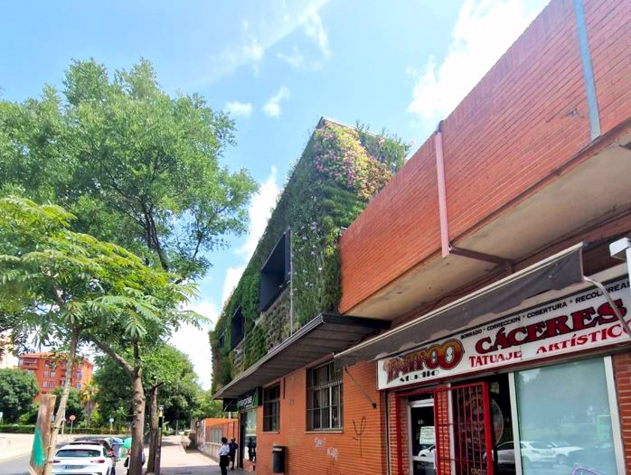 Jardín vertical estación de autobuses de Cáceres