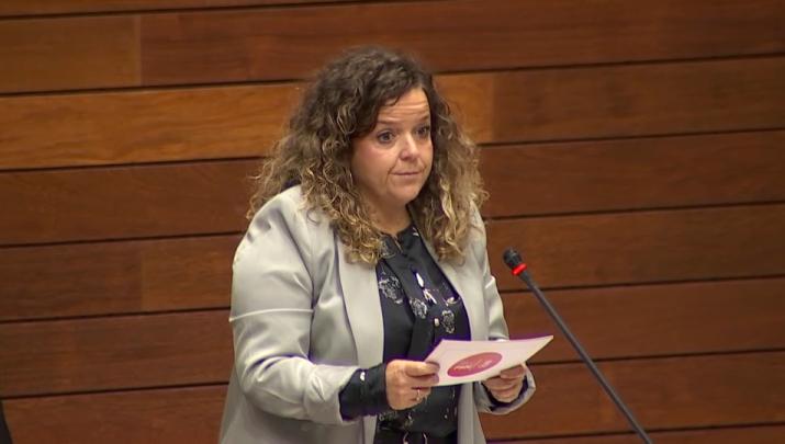  La diputada socialista María de la Cruz Rodríguez deja su escaño en la Asamblea de Extremadura