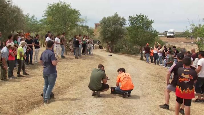 Malpartida de Plasencia acoge el X Día del Cazador Extremeño