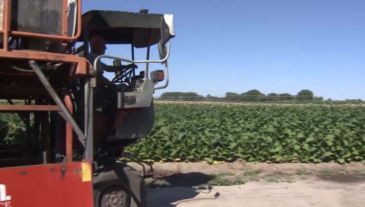 VÍDEO: Las organizaciones agrarias avisan de las consecuencias que tendrá la propuesta de PAC para el campo extremeño