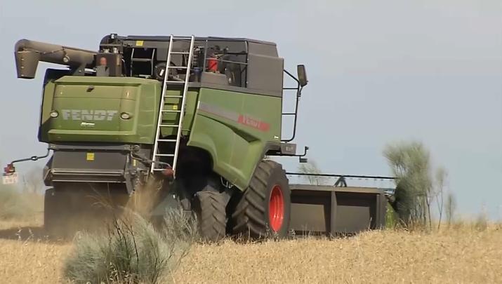 Recogida del cereal en Extremadura
