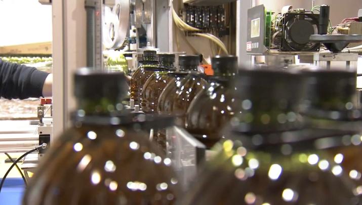 Las exportaciones de Extremadura en mayo alcanzan los 384 millones de euros, un 24,1% más que en 2024