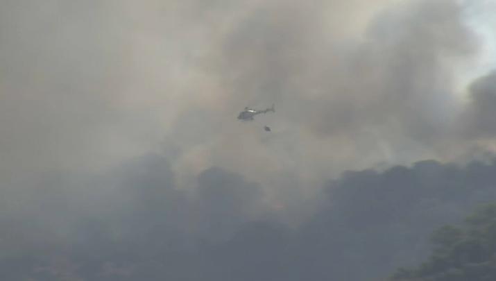 Activado el Nivel 1 del Plan INFOEX por incendio en Escurial
