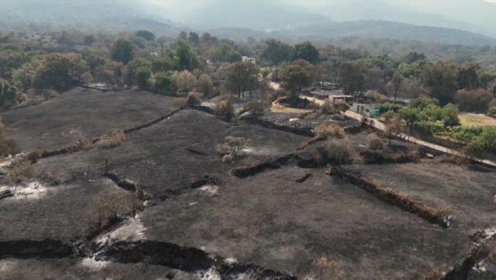 El Plan Infoex rebaja a nivel 1 el incendio forestal de Jarilla tras su estabilización
