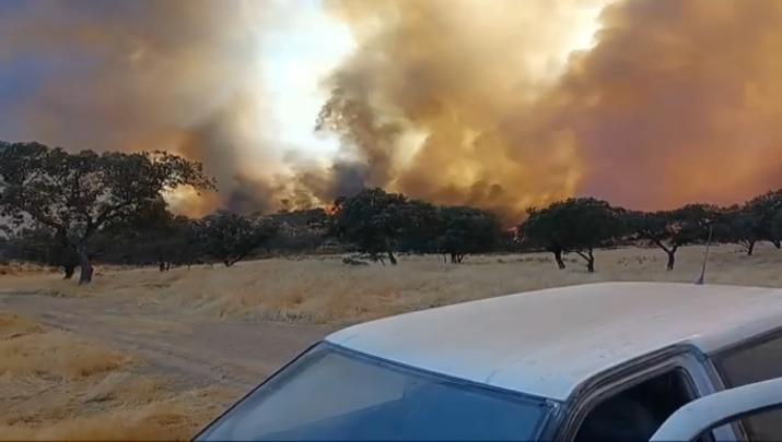 El Plan INFOEX mantiene el nivel 1 en el incendio forestal de Llerena